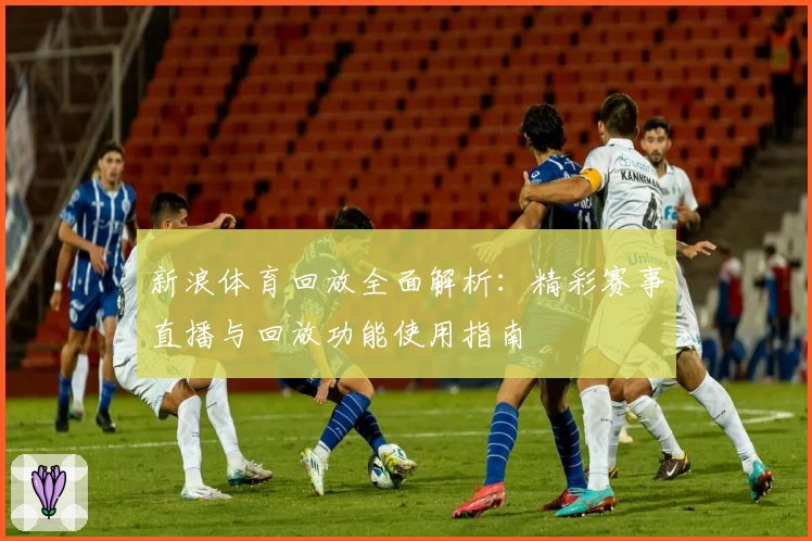 新浪体育回放全面解析：精彩赛事直播与回放功能使用指南