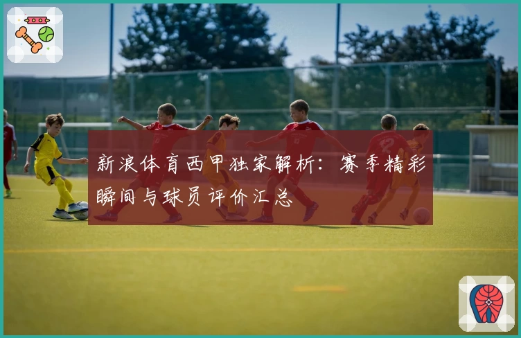 新浪体育西甲独家解析:赛季精彩瞬间与球员评价汇总