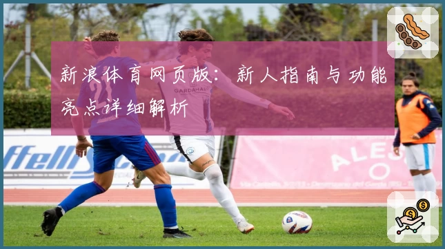 新浪体育网页版:新人指南与功能亮点详细解析