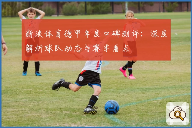 新浪体育德甲年度口碑测评:深度解析球队动态与赛季看点