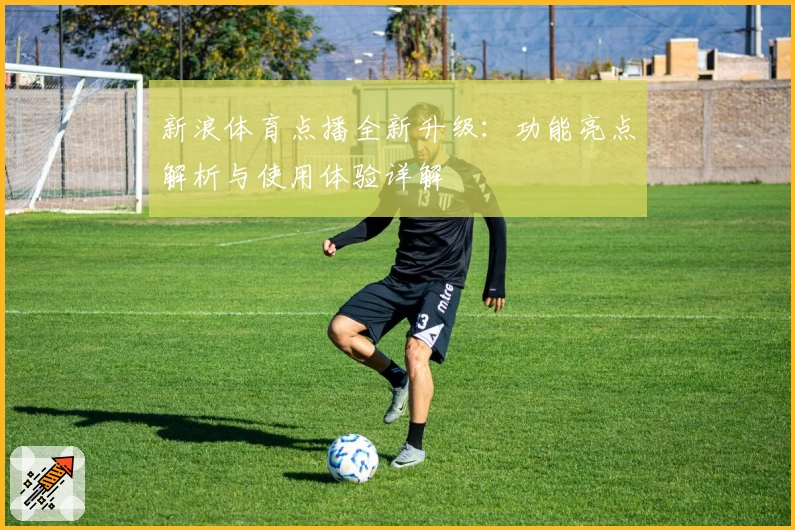 新浪体育点播全新升级：功能亮点解析与使用体验详解