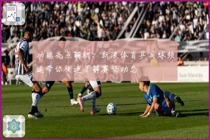 功能亮点解析：新浪体育乒乓球频道带你快速了解赛场动态