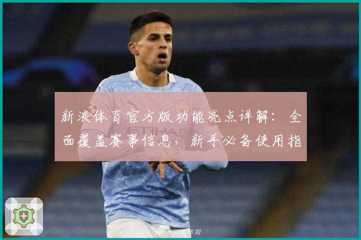 新浪体育官方版功能亮点详解：全面覆盖赛事信息，新手必备使用指南