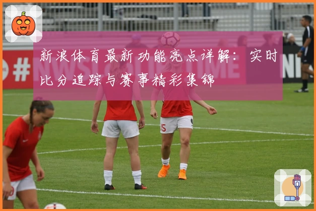 新浪体育最新功能亮点详解：实时比分追踪与赛事精彩集锦