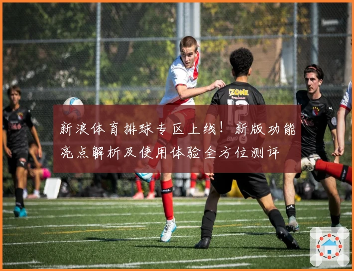 新浪体育排球专区上线！新版功能亮点解析及使用体验全方位测评