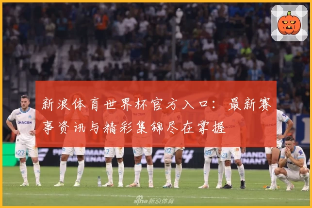 新浪体育世界杯官方入口：最新赛事资讯与精彩集锦尽在掌握
