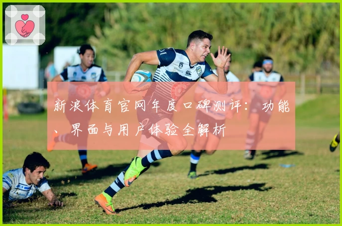 新浪体育官网年度口碑测评:功能、界面与用户体验全解析