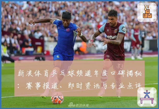 新浪体育乒乓球频道年度口碑揭秘:赛事报道、即时资讯与专业点评全方位解析