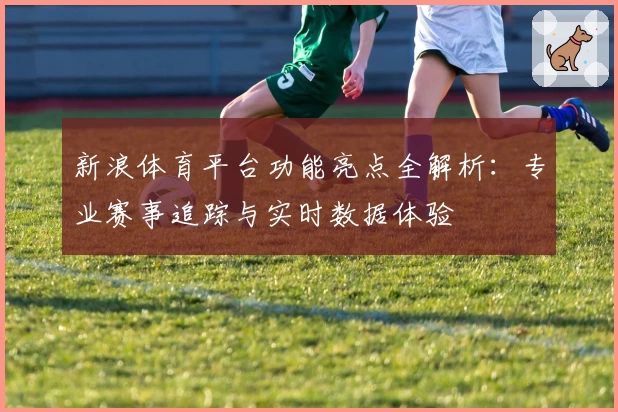 新浪体育平台功能亮点全解析：专业赛事追踪与实时数据体验