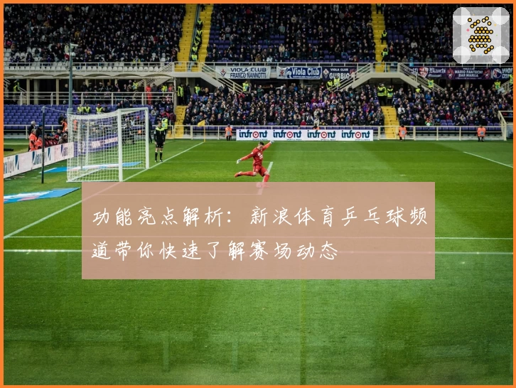 功能亮点解析：新浪体育乒乓球频道带你快速了解赛场动态