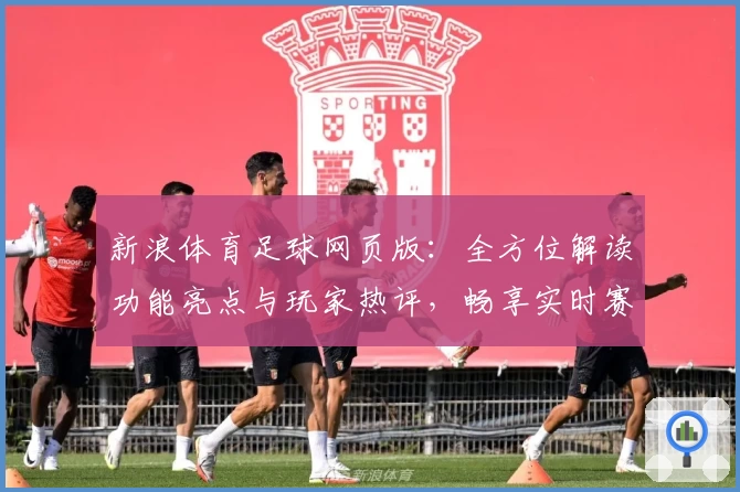 新浪体育足球网页版：全方位解读功能亮点与玩家热评，畅享实时赛事资讯